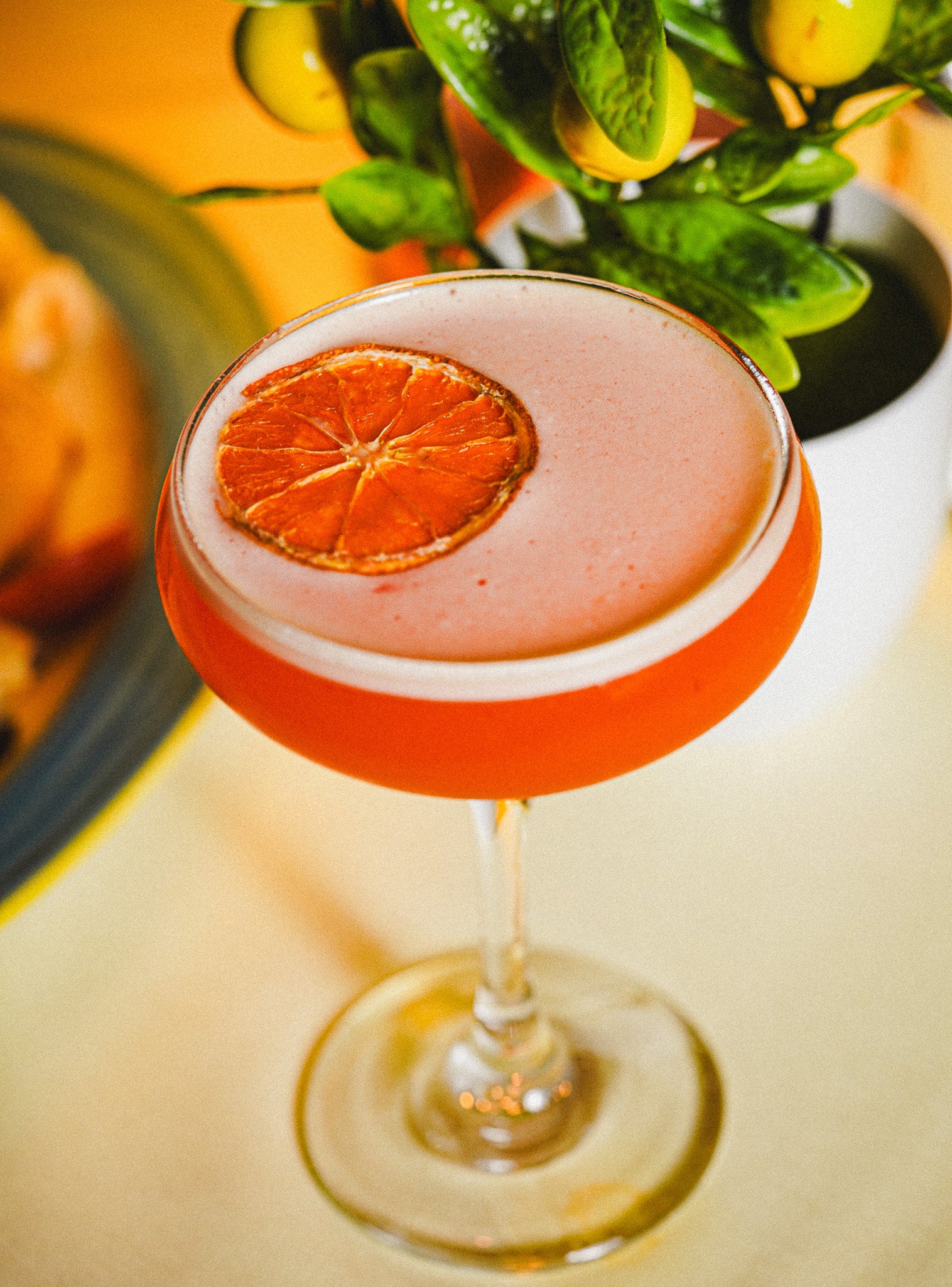 Italian cuisine photography and video for OP restaurant
