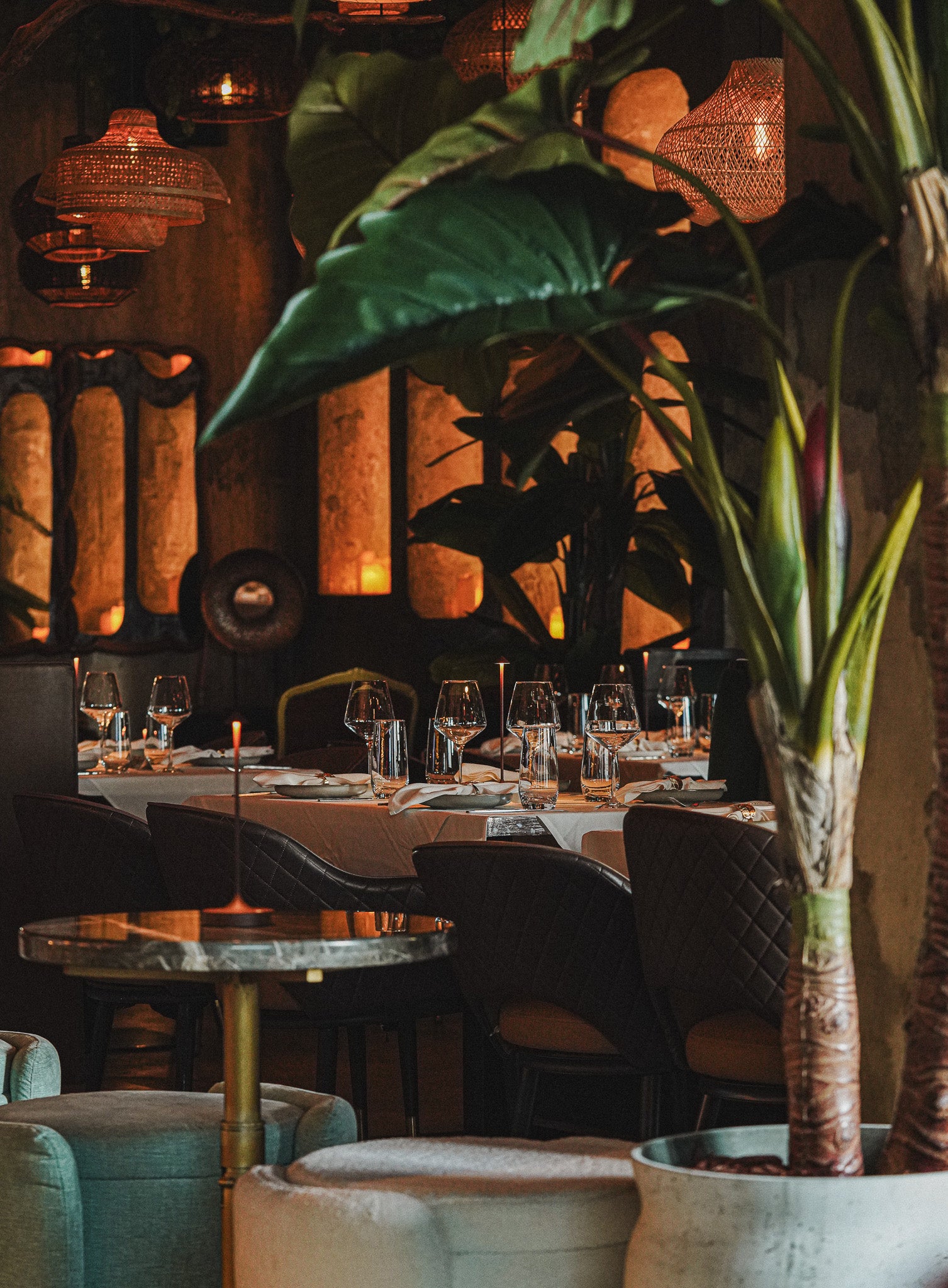 Casa Matilda branding and content development by Disturbance Brands