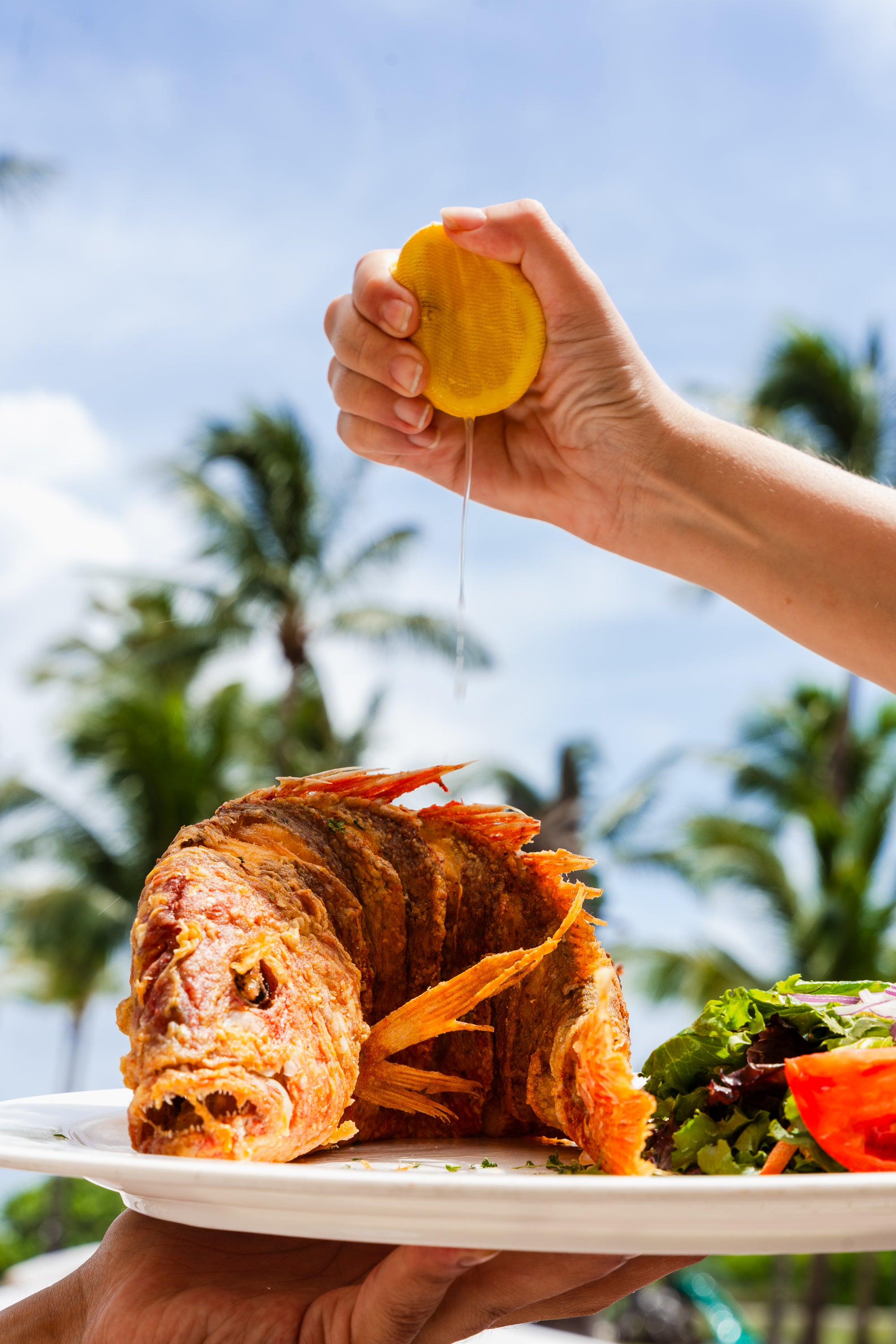 Disturbance Brands branding services for Kanoli in Miami