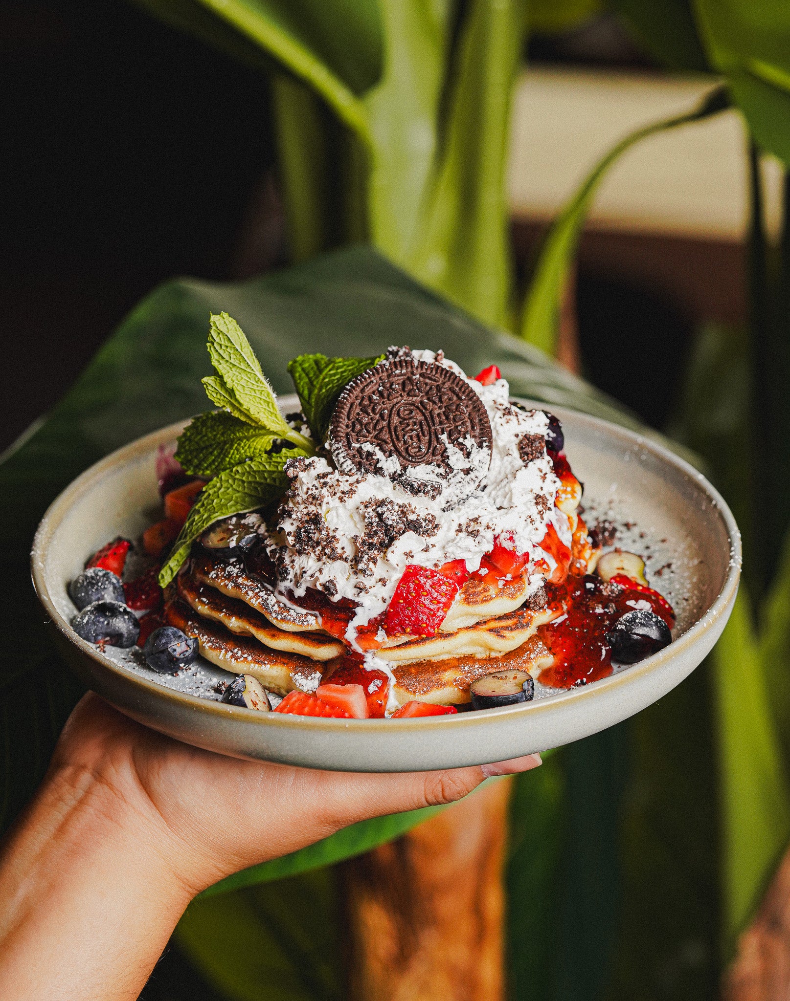 Morning light creating elegant shadows on curated brunch dishes at Casa Matilda