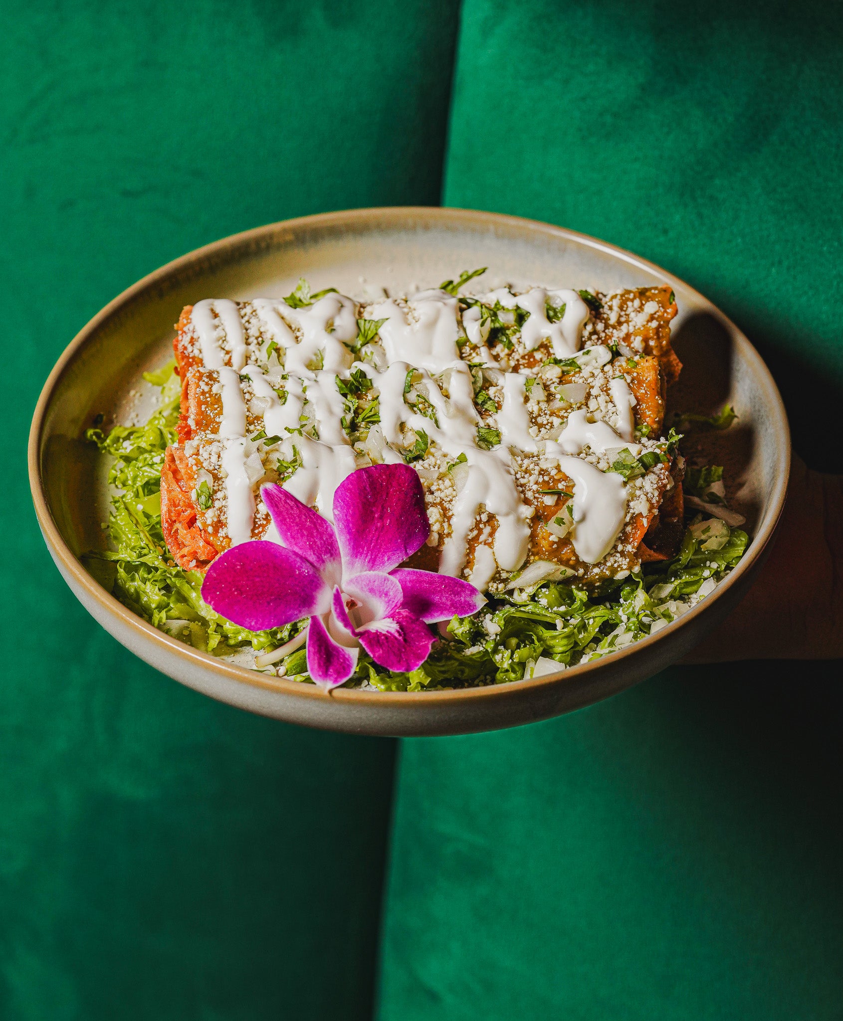 Visual identity applied to brunch content for Casa Matilda in Miami