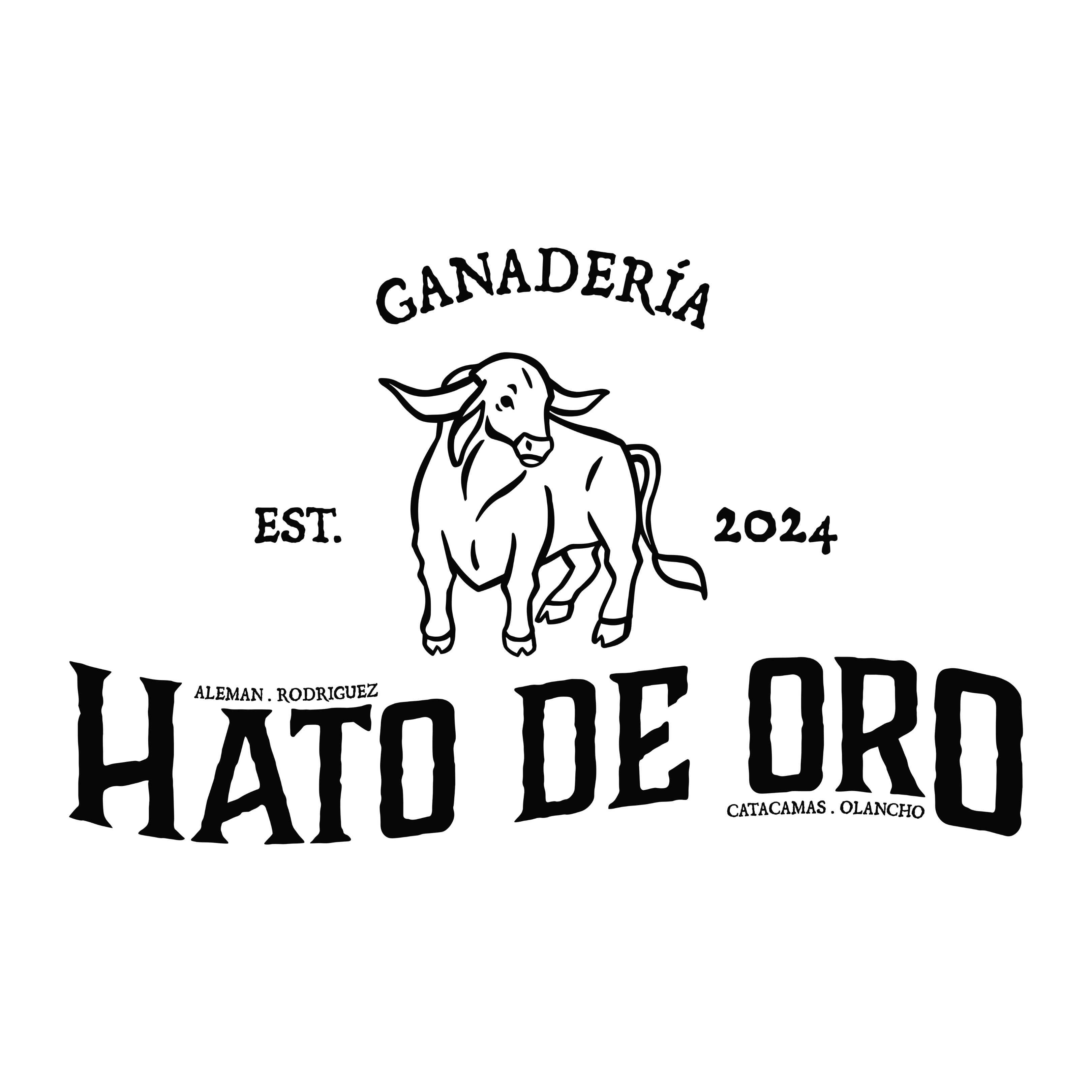 Logo design in Miami - Branding and Marketing agency