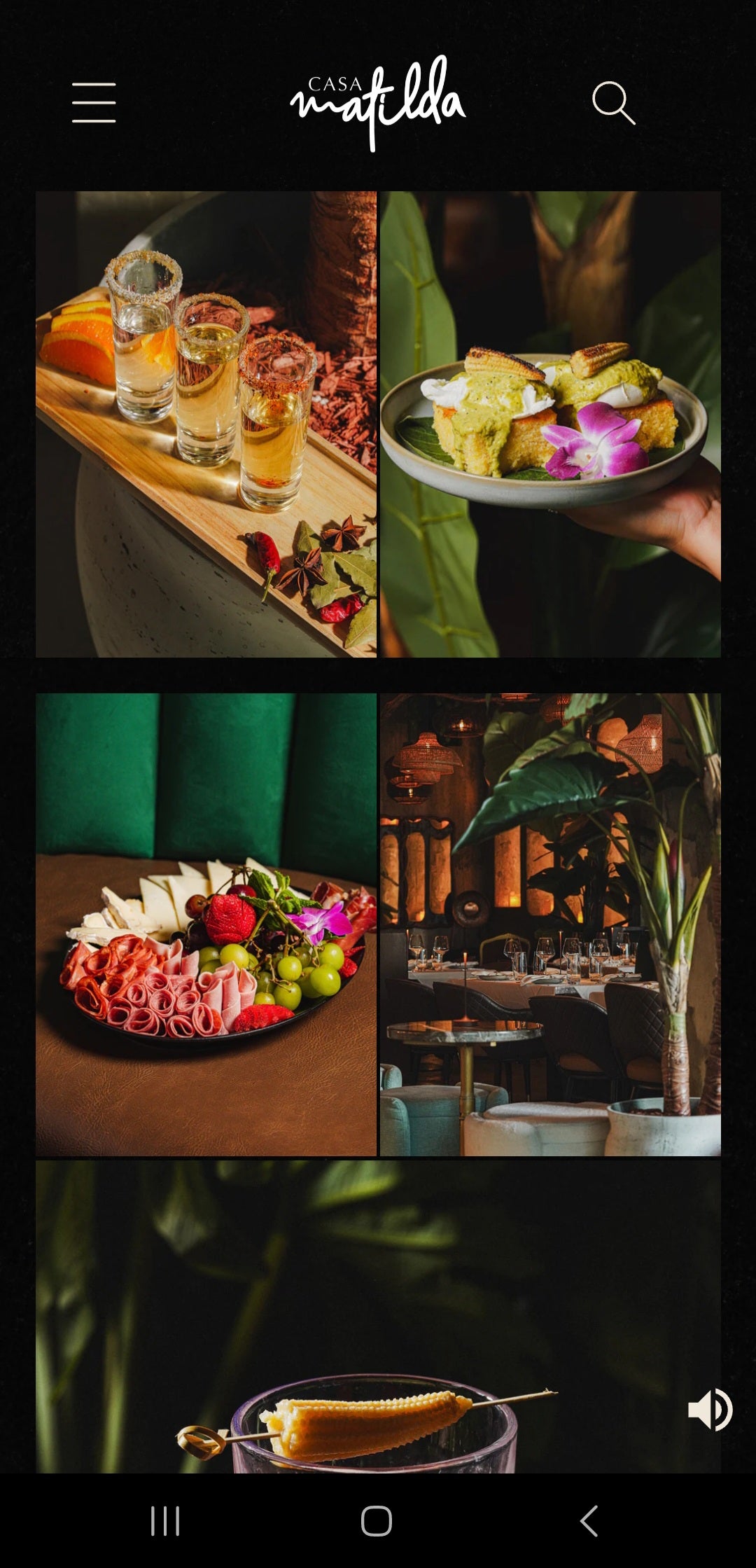 Custom Shopify website layout for Casa Matilda.