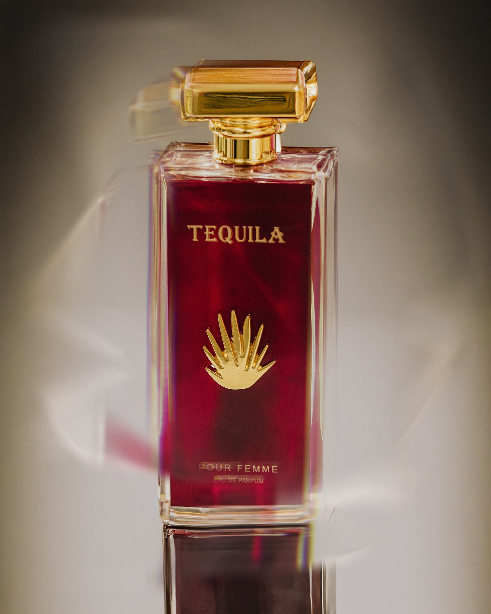 product photography for perfumes – lighting highlights and reflections