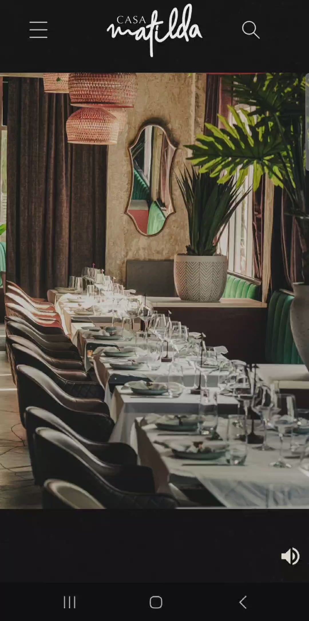 Custom website design by disturbance brands for a Miami steakhouse